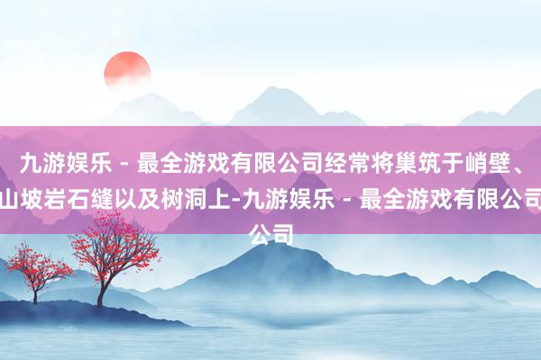 九游娱乐 - 最全游戏有限公司经常将巢筑于峭壁、山坡岩石缝以及树洞上-九游娱乐 - 最全游戏有限公司